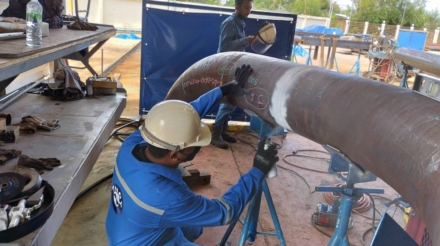2446
